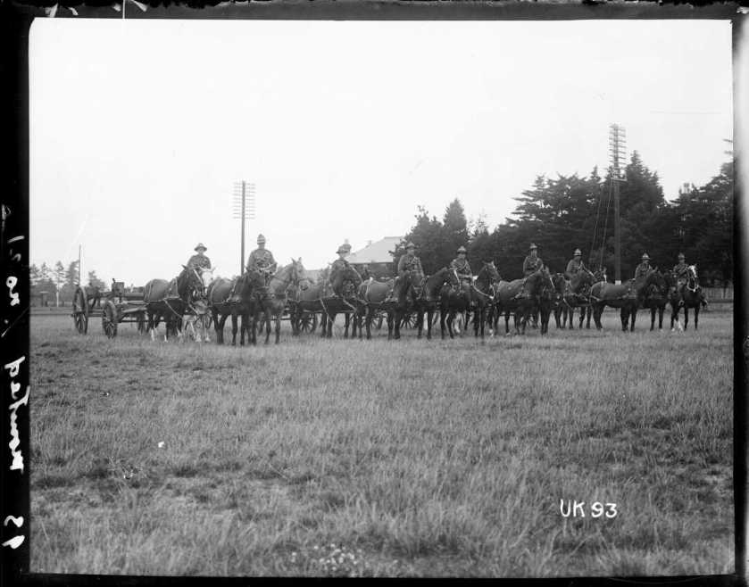 nlnzimage 1-2 013888-G