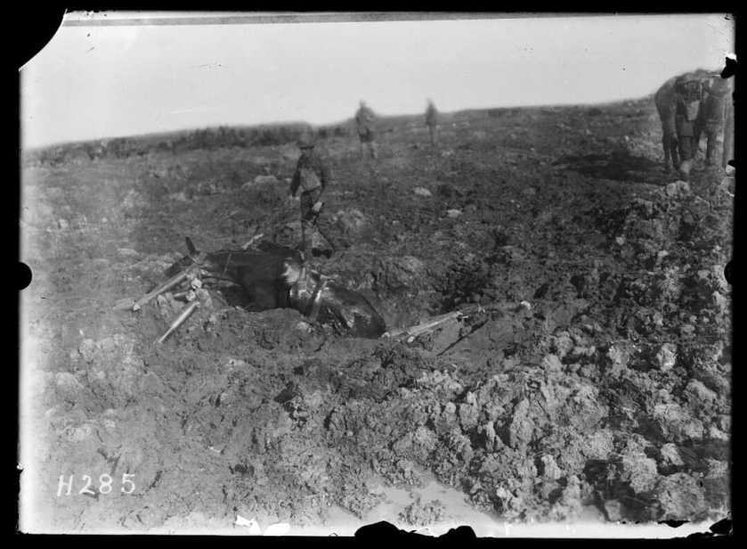 nlnzimage 1-2 012931-G