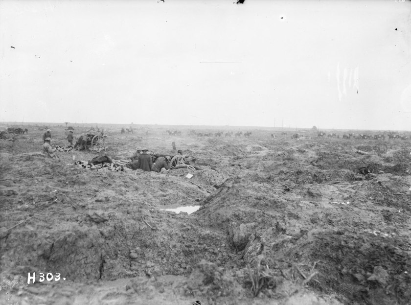 nlnzimage 1-2 012946-G (web)