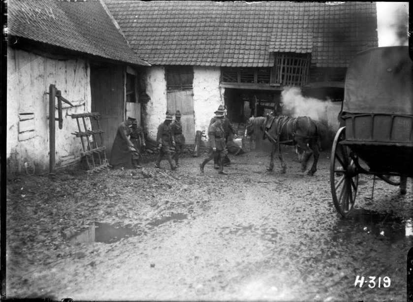 nlnzimage 1-2 012960-G