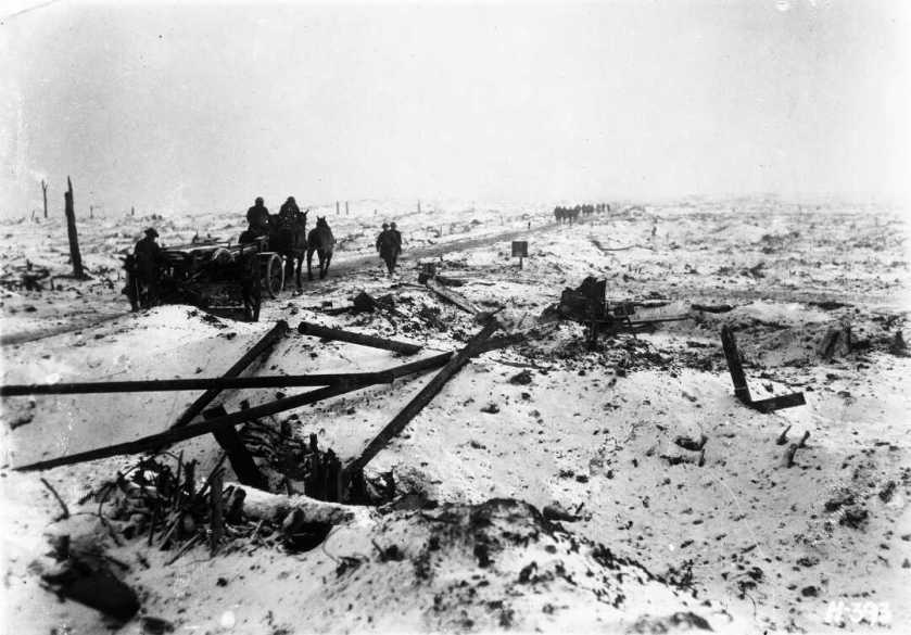 nlnzimage 1-2 013024-G