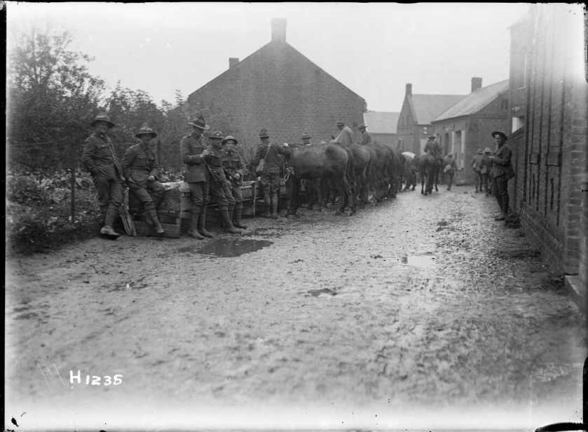 nlnzimage 1-2 013782-G NZ Troops watering mules, Solesmes, Nov 1918