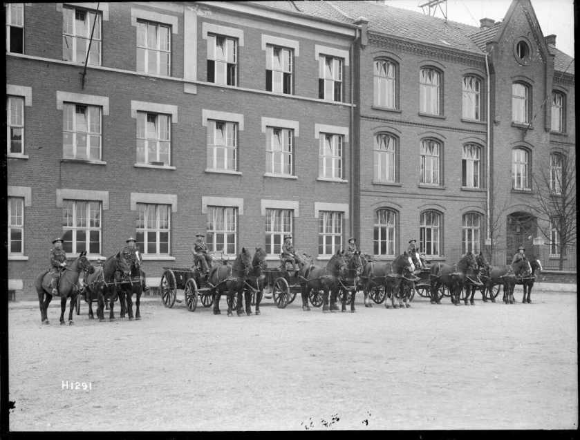 nlnzimage 1-1 002108-g nz horse transport, hq building leverkusen, jan 1919