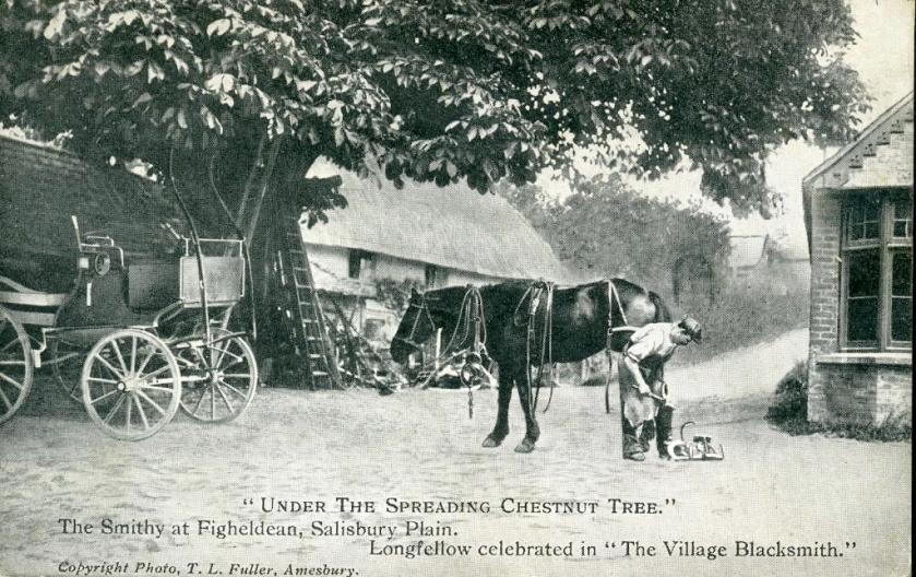 Under the spreading Chestnut Tree